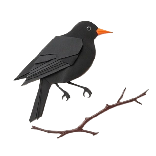 dieAmsel Collective logo